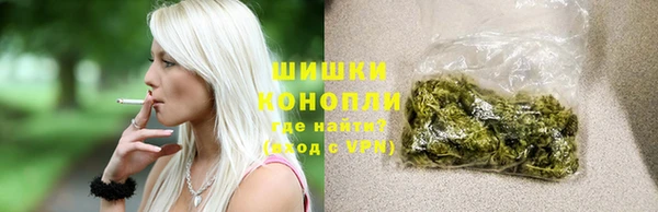 ГАЛЛЮЦИНОГЕННЫЕ ГРИБЫ Каменка