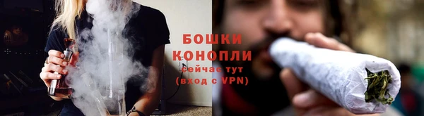 бошки Каменногорск