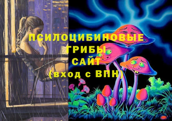 ГАЛЛЮЦИНОГЕННЫЕ ГРИБЫ Каменка