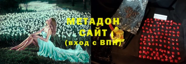 ГАЛЛЮЦИНОГЕННЫЕ ГРИБЫ Каменка