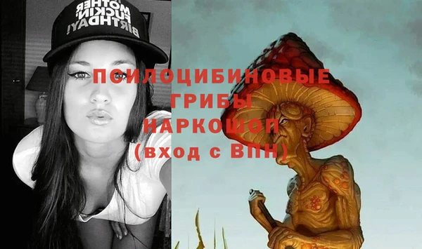 бошки Каменногорск