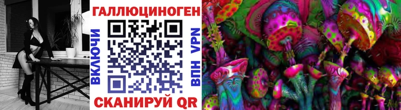 Купить где Буйнакск Псилоцибиновые грибы MAGIC MUSHROOMS